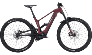 VUCA EVO AM 1