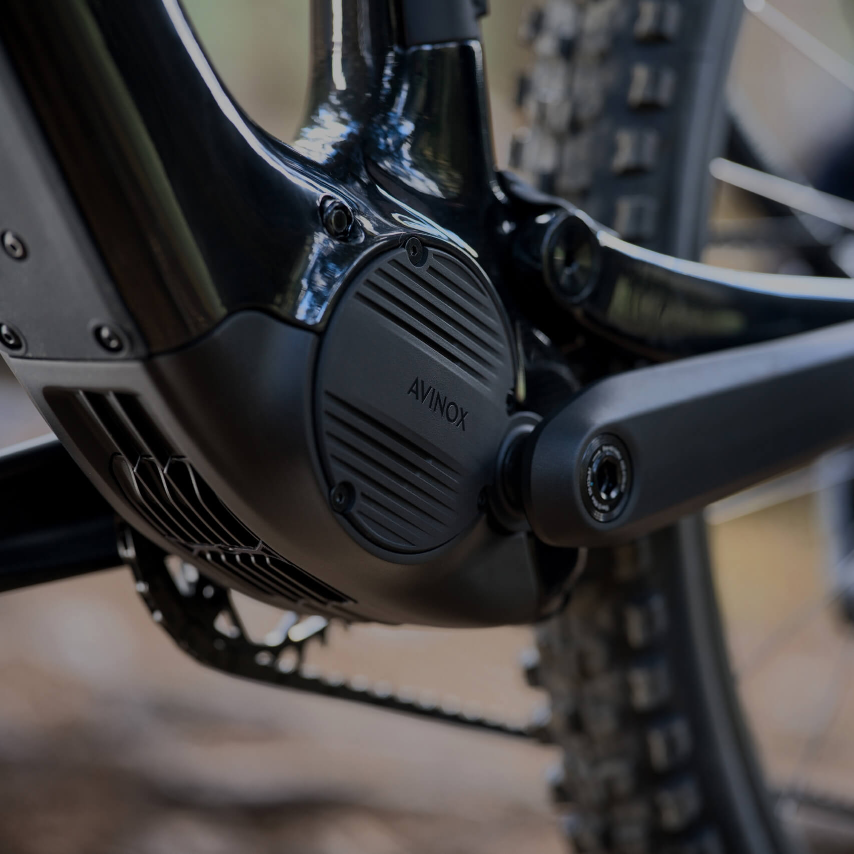 Amflow PL Carbon Pro - Imagen 5